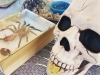 eamd-2019-muertos-fall-fest-akl-74