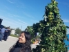 eamd-2019-muertos-fall-fest-grapes-stilts-2-101