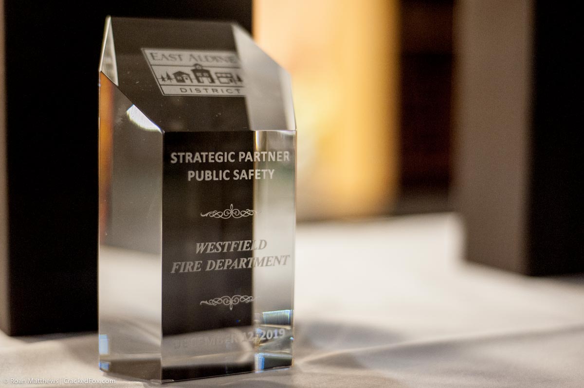 eamd-2019-partner-awards-trophies-0232