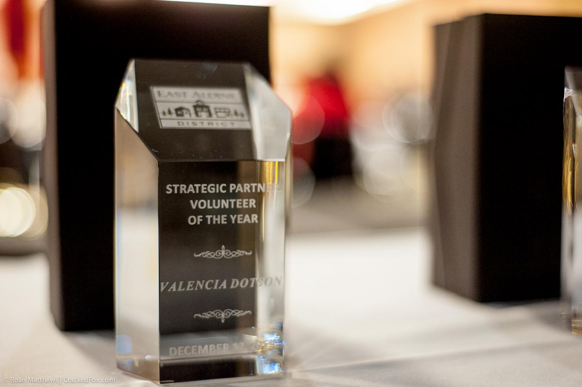 eamd-2019-partner-awards-trophies-0234