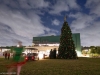 EAMD-2023-Tree-Lighting-1