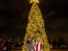 EAMD-2023-Tree-Lighting-11