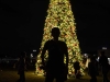 EAMD-2023-Tree-Lighting-112