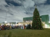 EAMD-2023-Tree-Lighting-4