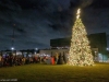 EAMD-2023-Tree-Lighting-5