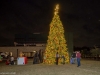 EAMD-2023-Tree-Lighting-7