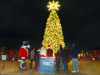 EAMD-2024-Tree-lighting-115