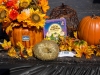 FALLFEST2014-105