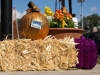 FALLFEST2014-107