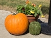 FALLFEST2014-108