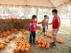 EAMD_2016FallFext-10