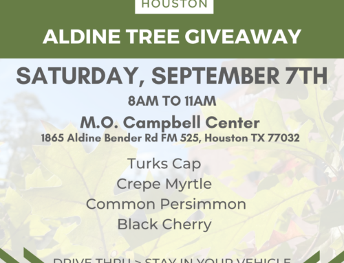 Aldine Tree Giveaway, Sept. 7