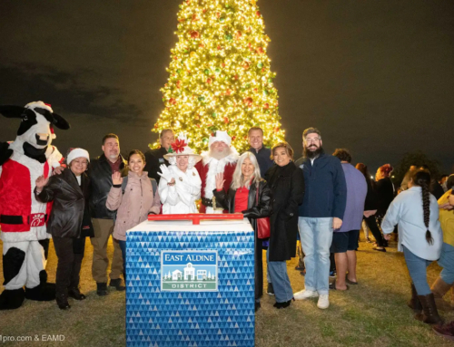 Holiday Magic in East Aldine: Lighting Up the Season with a Spectacular 30-foot Christmas Tree!